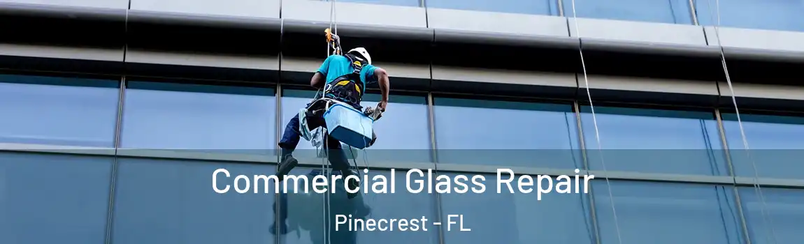 Commercial Glass Repair Pinecrest - FL
