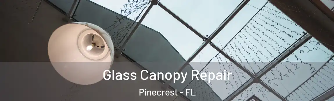 Glass Canopy Repair Pinecrest - FL