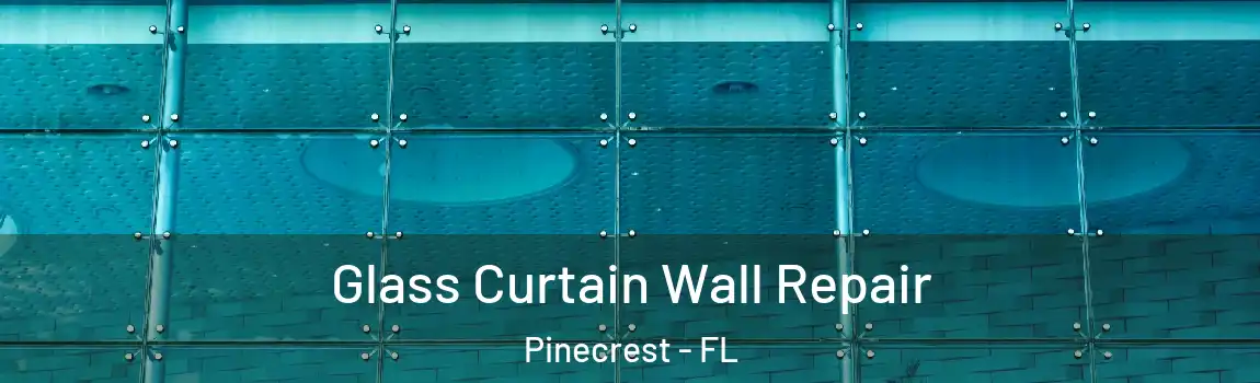 Glass Curtain Wall Repair Pinecrest - FL