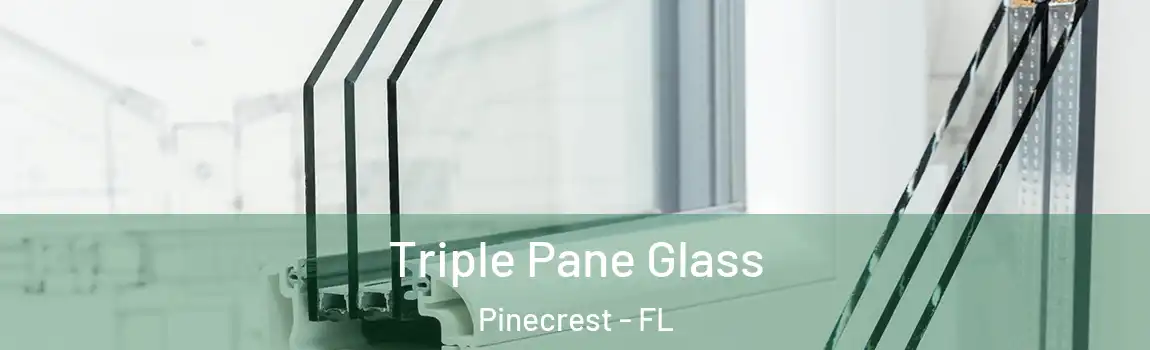 Triple Pane Glass Pinecrest - FL