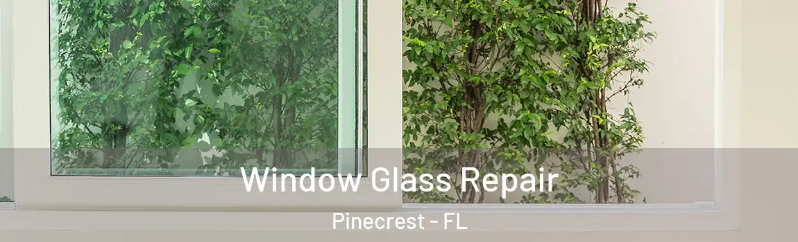 Window Glass Repair Pinecrest - FL