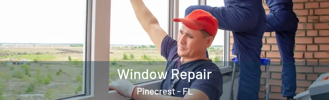  Window Repair Pinecrest - FL