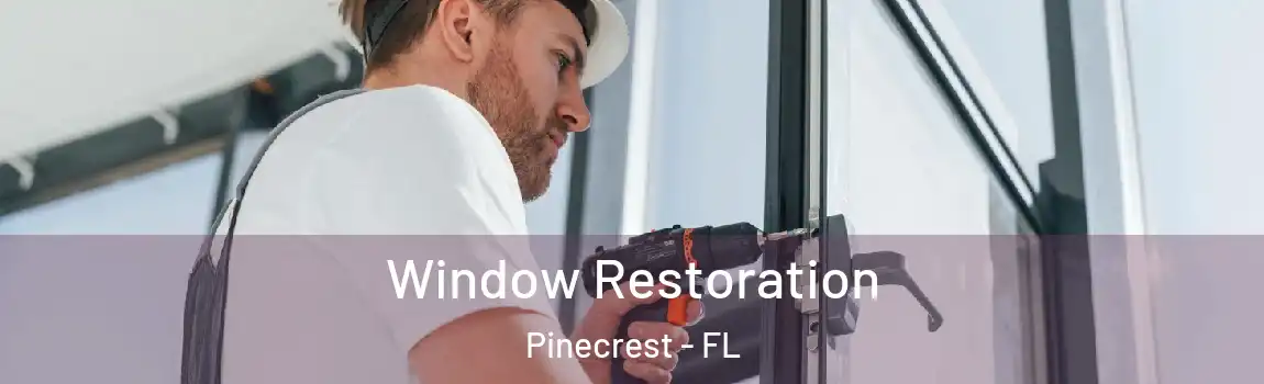  Window Restoration Pinecrest - FL