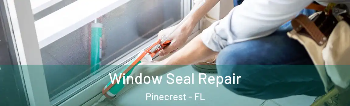  Window Seal Repair Pinecrest - FL